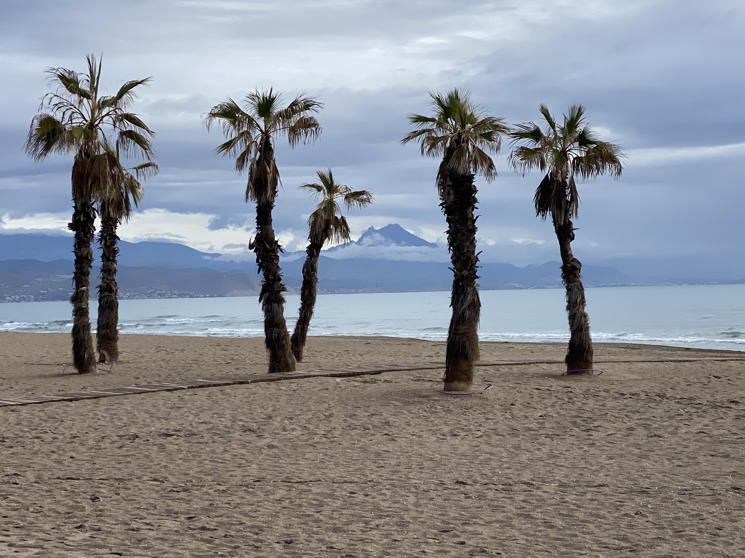 Beach in Spain with palm trees and mountains